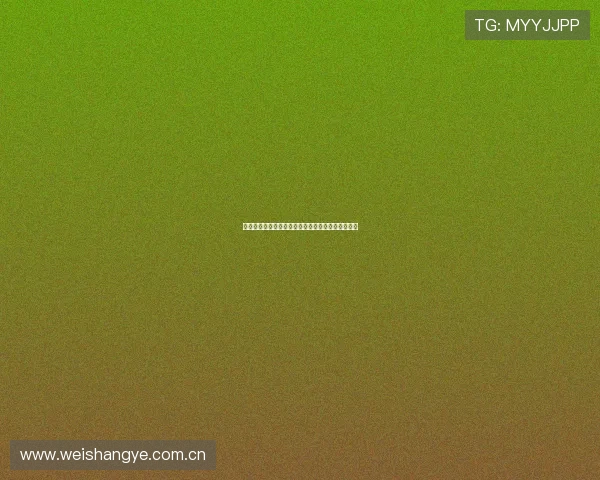 风速体育手机版下载最新版本全功能体验与注册指南